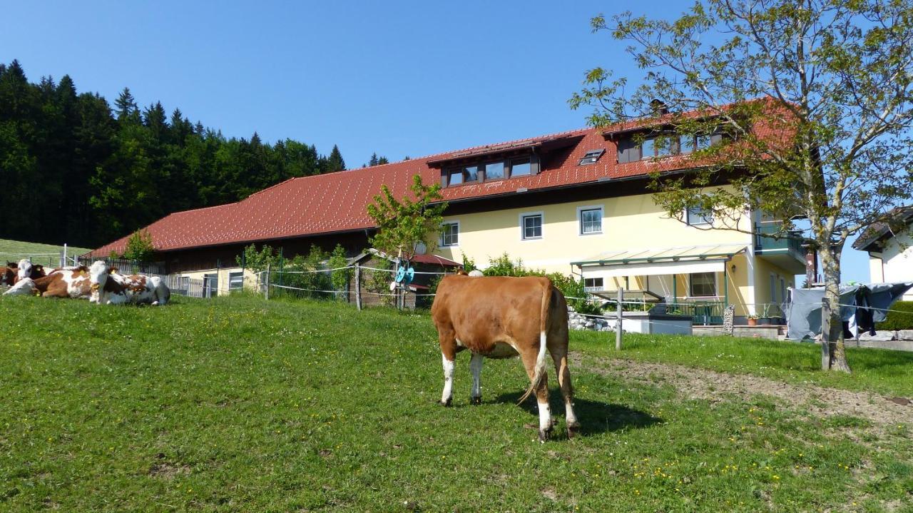 Ferienwohnung Steger Mattsee Luaran gambar